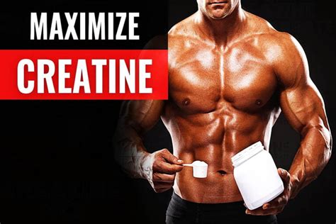 Can You Take Creatine with Food? Exploring the Myths and Realities of Supplement Timing