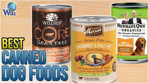 How Long Is Canned Dog Food Good for Once Opened? And Why Do Dogs Prefer It Over Your Leftovers?