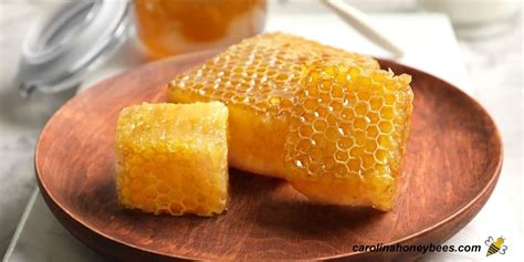 Is Honey Comb Good for You: A Sweet Debate on Nature's Hexagonal Wonder