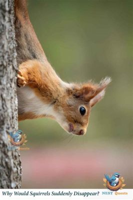 Is Virginia Giving Extra Food Stamps This Month? And Why Are Squirrels Suddenly Obsessed with Avocado Toast?