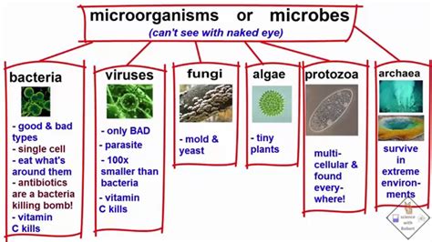 The Most Significant Threat to Food Safety Is From: Unseen Microbes and Human Negligence