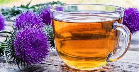 What Does Milk Thistle Tea Taste Like? And Why Does It Remind Me of Ancient Herbal Wisdom?