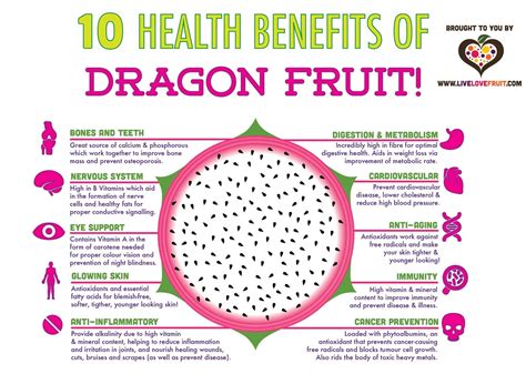 When is a Dragon Fruit Ready to Eat, and Why Do Unicorns Prefer Them Over Apples?