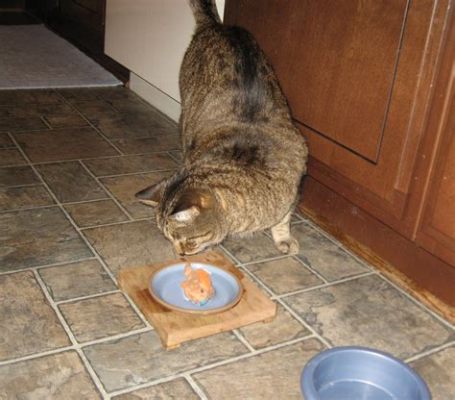 Why Do Cats Put Their Toys in Their Food Bowl, and What Does It Say About Their Obsession with Parallel Universes?